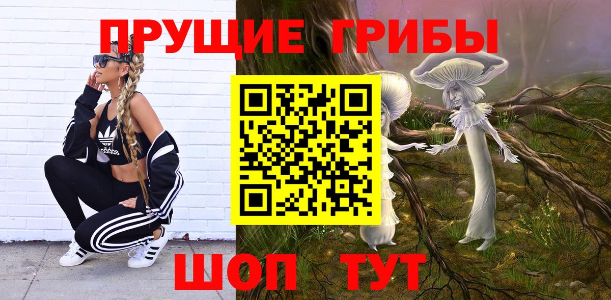 Кувандык  Псилоцибиновые грибы мухоморы  Вход с VPN 